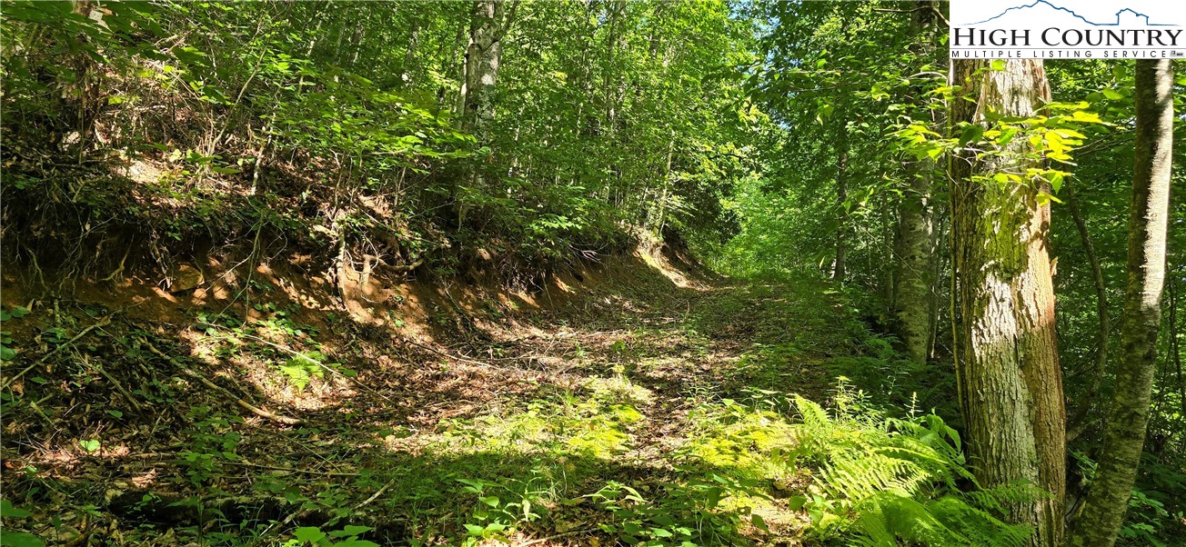 Rock Creek Road Creston, NC 28615 - Photo 18 of 30 Gallery Image 18