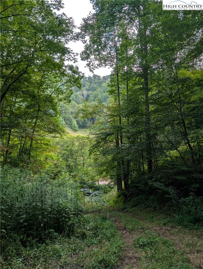 Rock Creek Road Creston, NC 28615 - Photo 2 of 30 Gallery Image 2