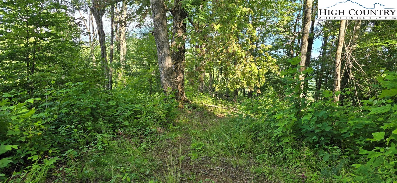 Rock Creek Road Creston, NC 28615 - Photo 23 of 30 Gallery Image 23