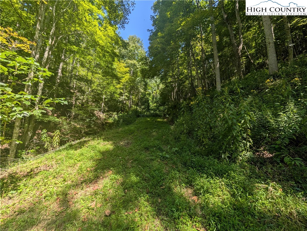 Rock Creek Road Creston, NC 28615 - Photo 8 of 30 Gallery Image 8