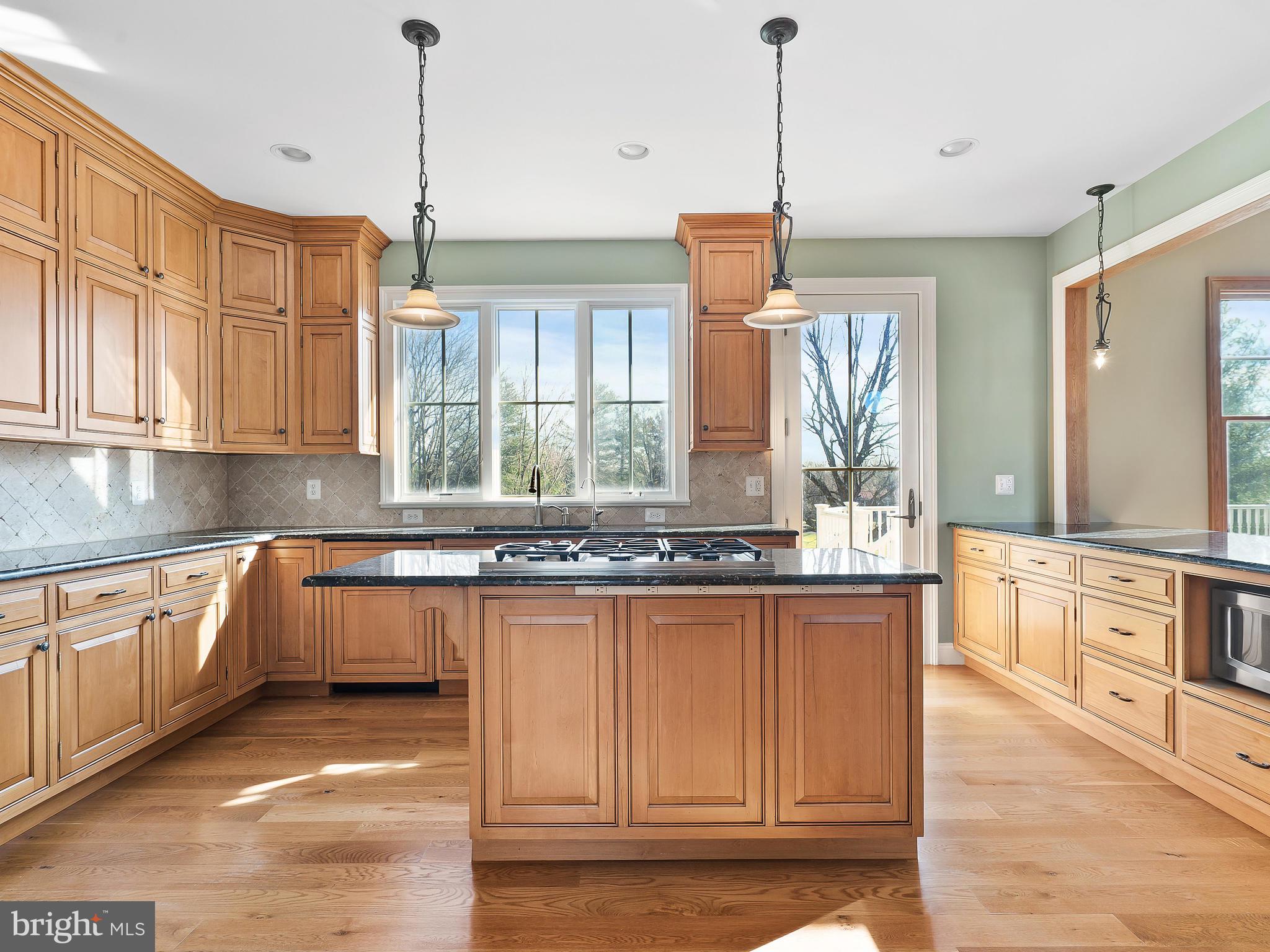 36340 Paxson Road Purcellville, VA 20132 - Photo 7 of 43 Gourmet kitchen in the heart of horse country