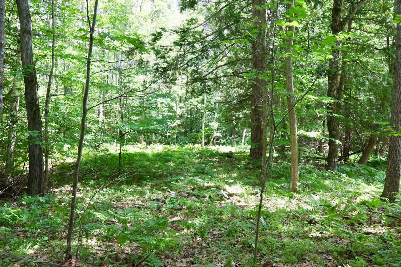 6182 Hamilton Road Harrison, MI 48625 - Photo 17 of 77