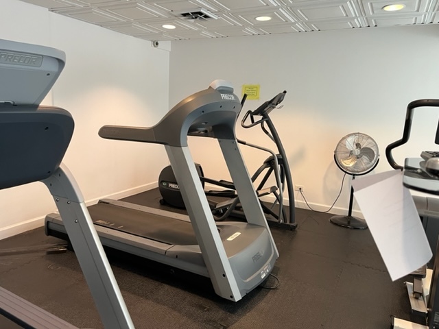 253 East Delaware Place, Unit 16E Chicago, IL 60611 - Photo 11 of 13 a view of a room with gym equipment
