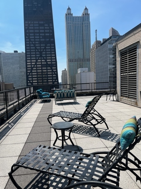 253 East Delaware Place, Unit 16E Chicago, IL 60611 - Photo 13 of 13 a view of a terrace with furniture and floor to ceiling window