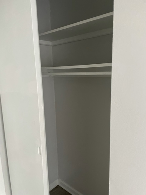 253 East Delaware Place, Unit 16E Chicago, IL 60611 - Photo 8 of 13 a close view of closet