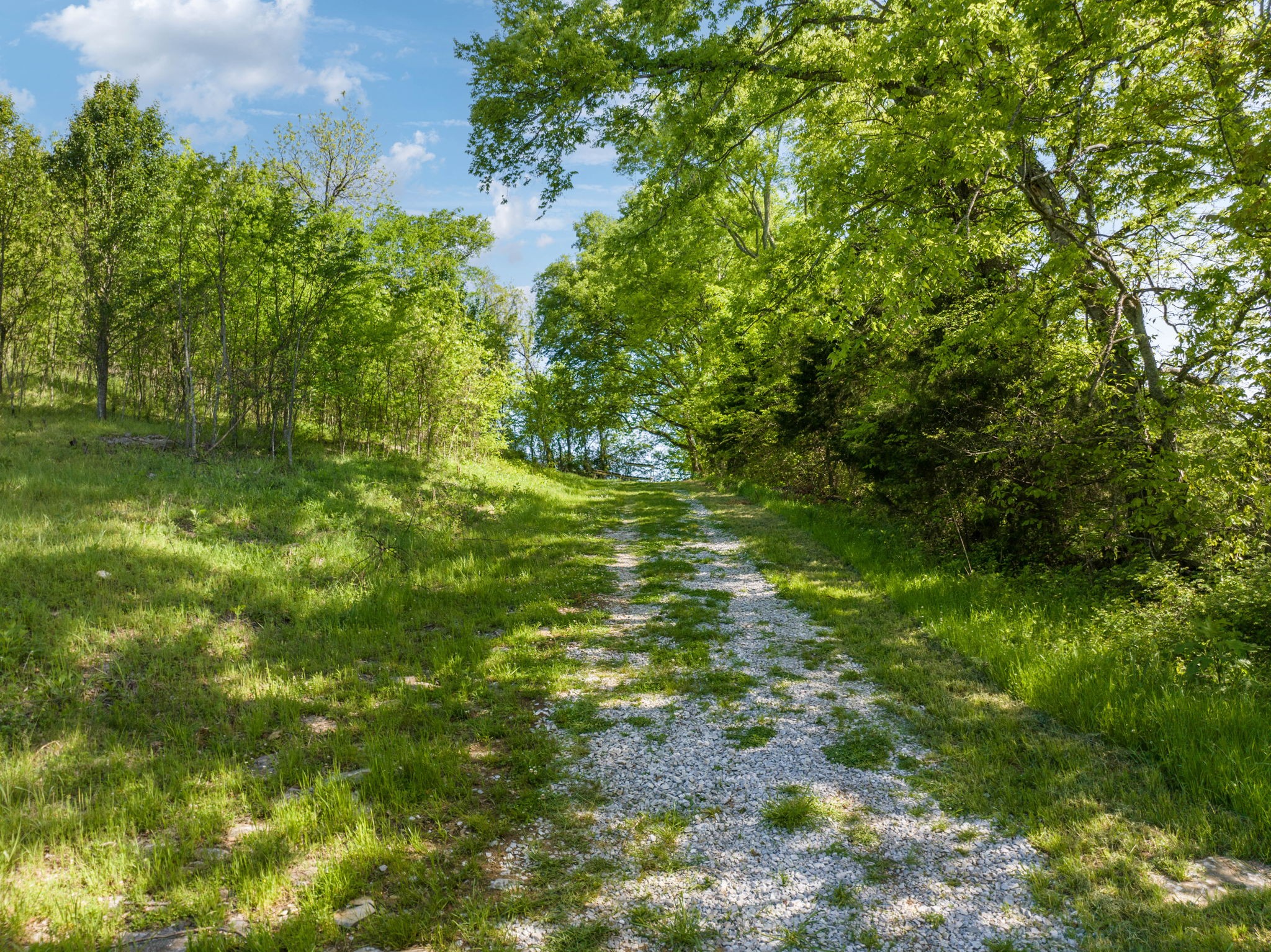 40 Hackett Valley Road Hickman, TN 38567 - Photo 15 of 26 a view of a yard with a tree