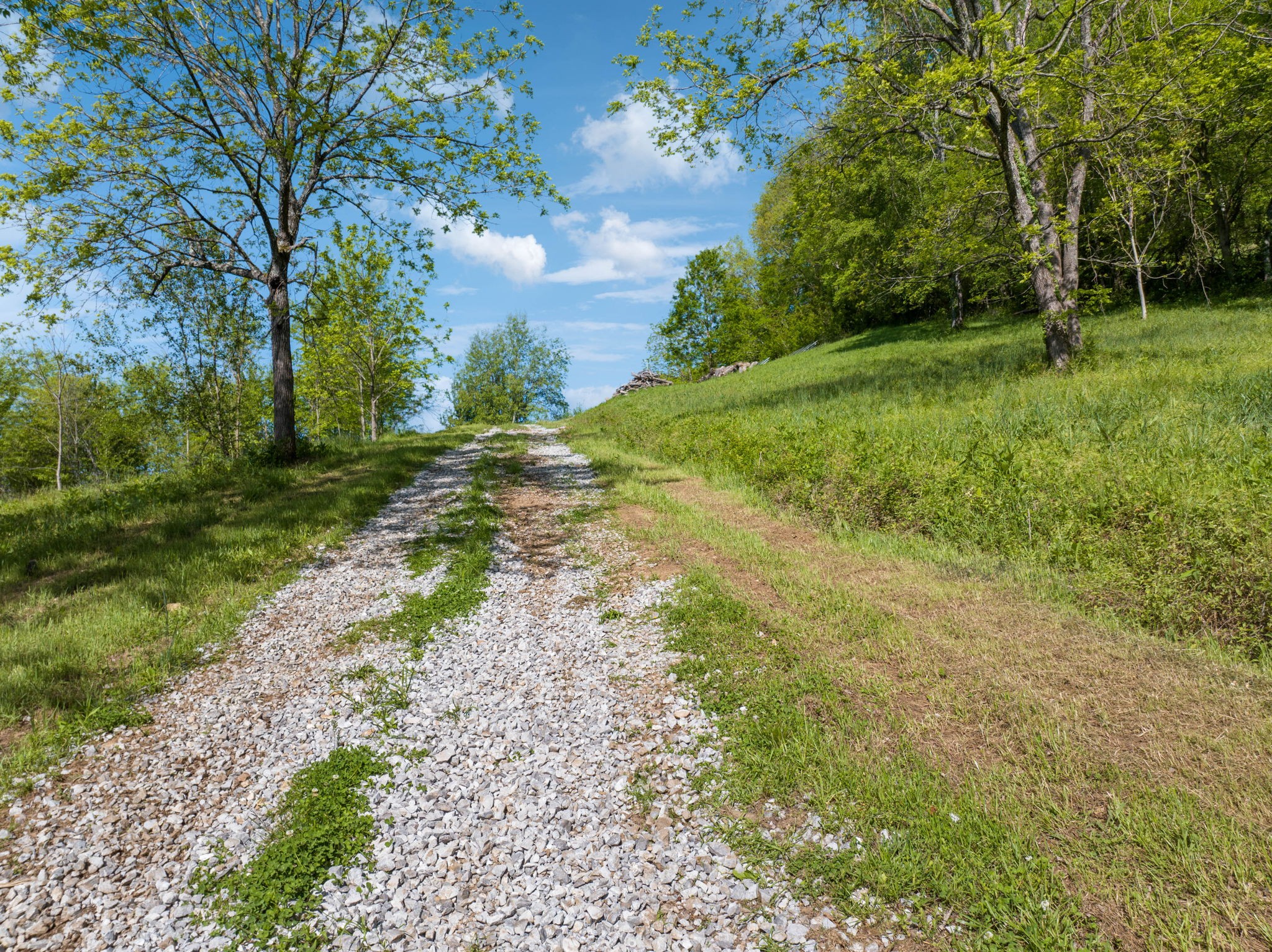 40 Hackett Valley Road Hickman, TN 38567 - Photo 16 of 26 a view of a yard with plants and trees
