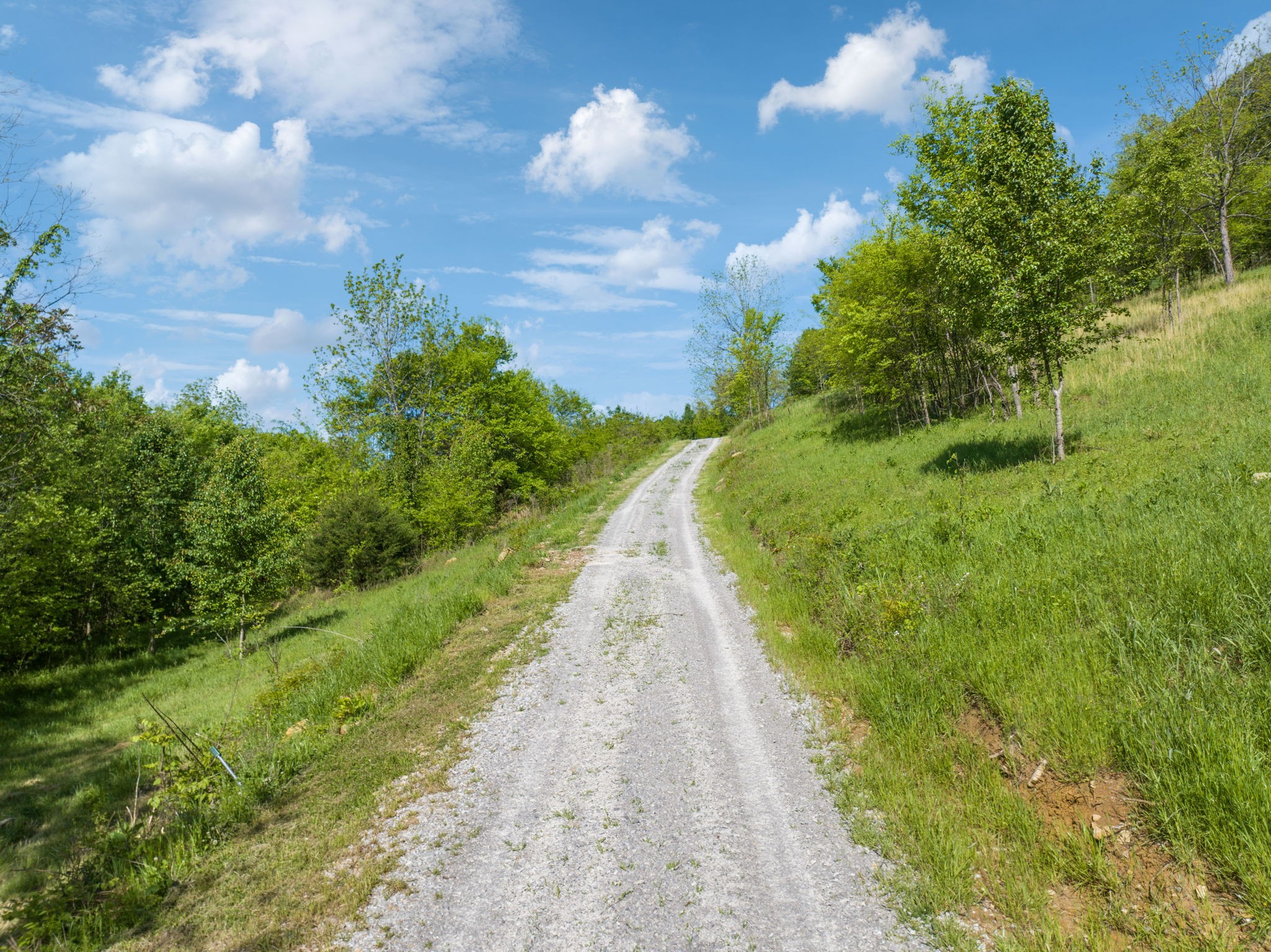 40 Hackett Valley Road Hickman, TN 38567 - Photo 17 of 26 a view of a pathway both side of yard