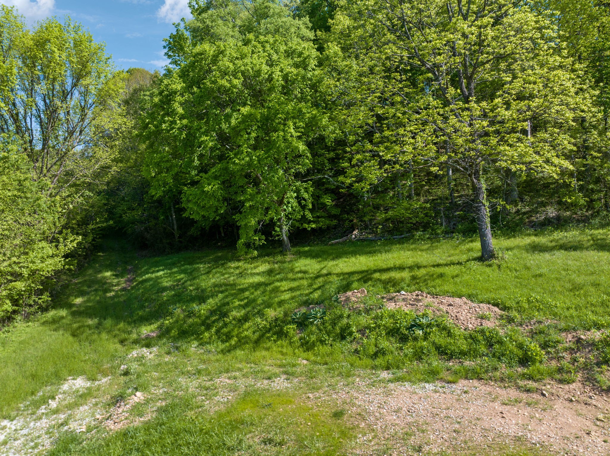 40 Hackett Valley Road Hickman, TN 38567 - Photo 26 of 26 a view of a green field with a tree
