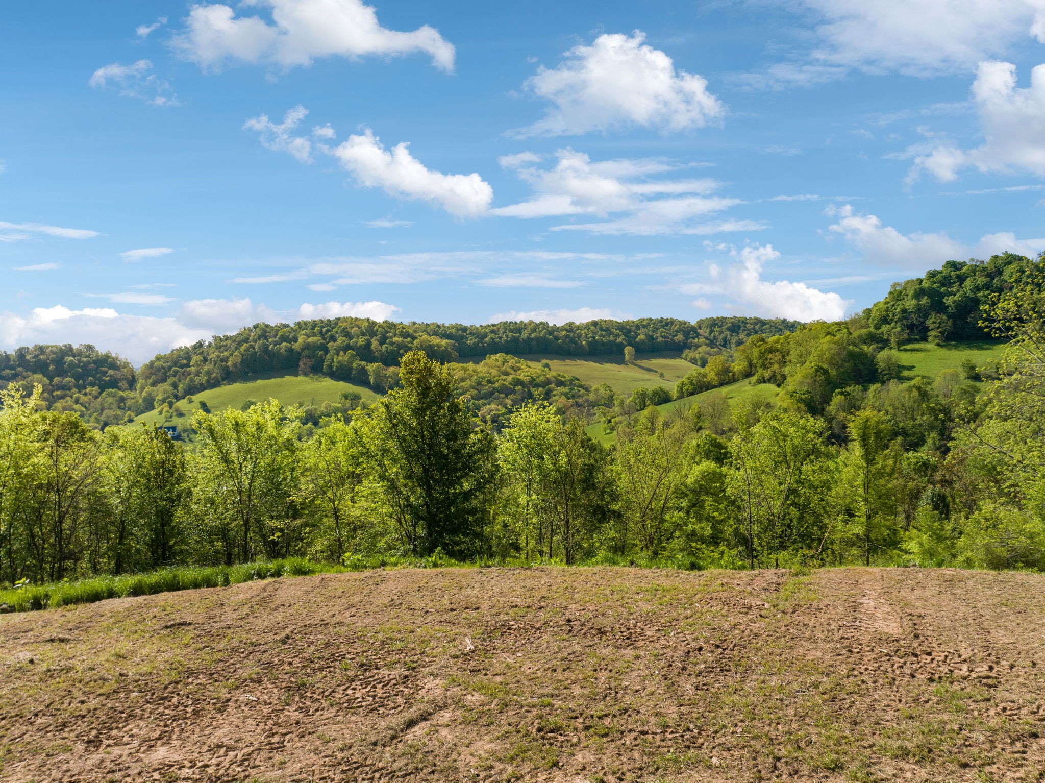 40 Hackett Valley Road Hickman, TN 38567 - Photo 4 of 26 a view of an lake and a mountain