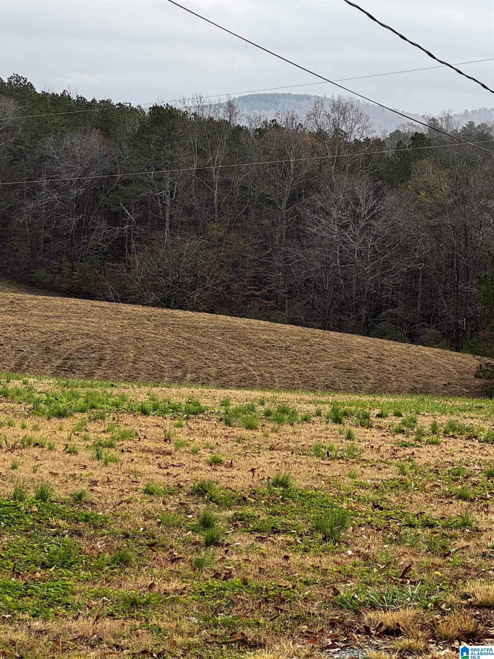 0 Sawmill Road Blountsville, AL 35031 - Photo 2 of 5
