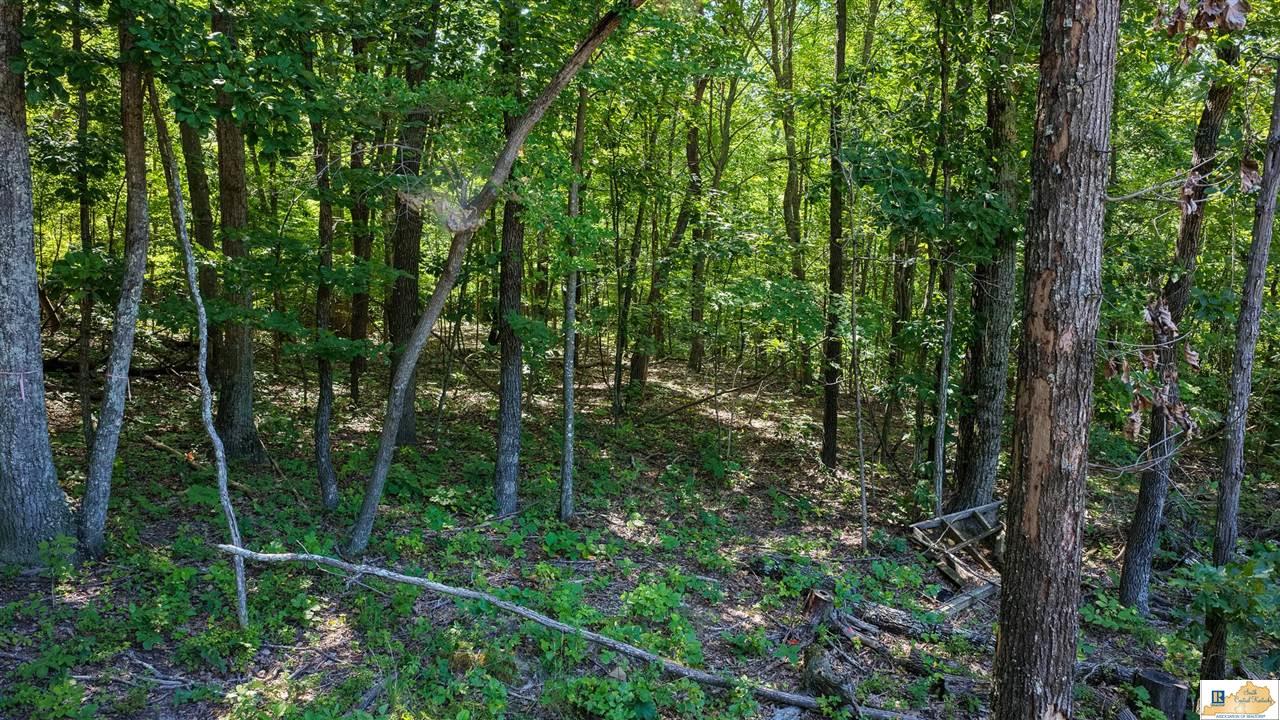 13474 Grayson Springs Road Clarkson, KY 42726 - Photo 29 of 36 Gallery Image 29