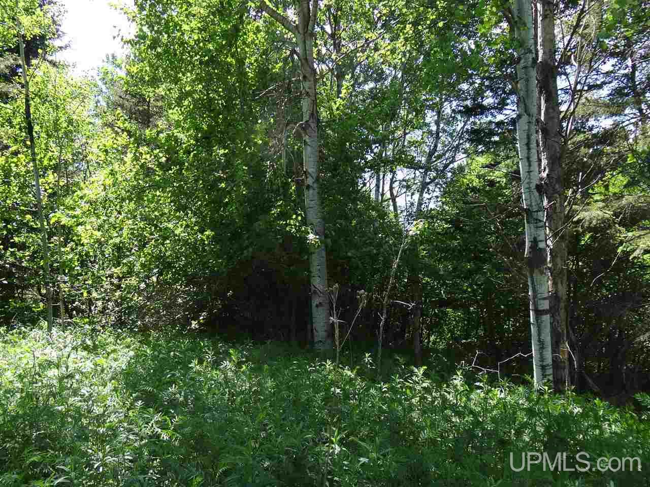 Tbd Walstrom Road Atlantic Mine, MI 49905 - Photo 20 of 23 Gallery Image 20