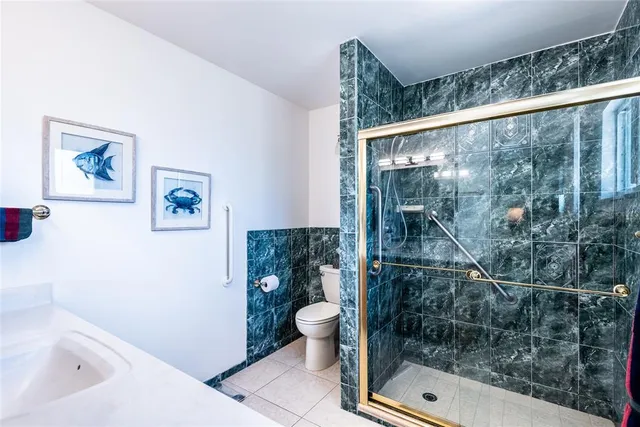 a bathroom with a shower and toilet