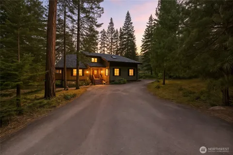 a view of street and trees in the background