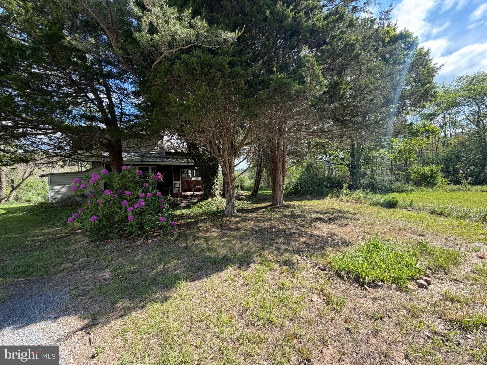 986 Rushing River Road Augusta, WV 26704 - Photo 52 of 56 Charming retreat amidst nature's embrace.