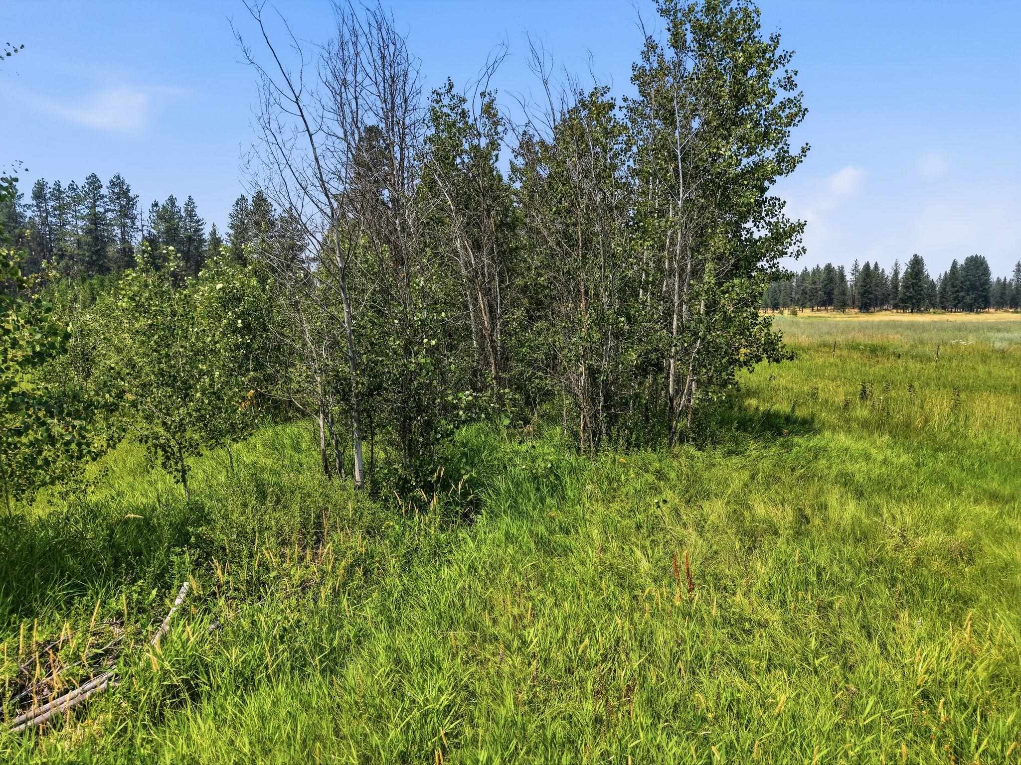 1410 West Paradise Road Spokane, WA 99224 - Photo 10 of 20 Gallery Image 10