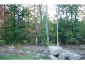 L-89-7 River Road Weare, NH 03281 - Photo 5 of 7 Gallery Image 5