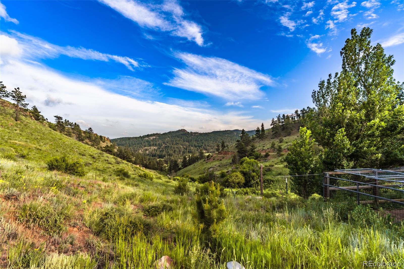 180 Deep Cut Road Livermore, CO 80536 - Photo 35 of 44