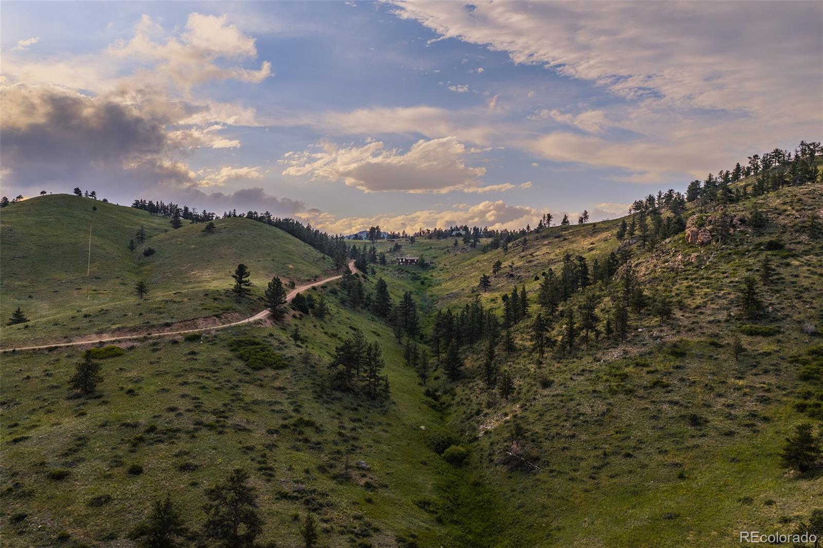 180 Deep Cut Road Livermore, CO 80536 - Photo 40 of 44