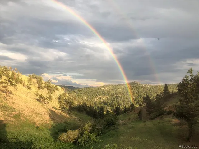 $595,000 | 180 Deep Cut Road, Livermore, CO 80536