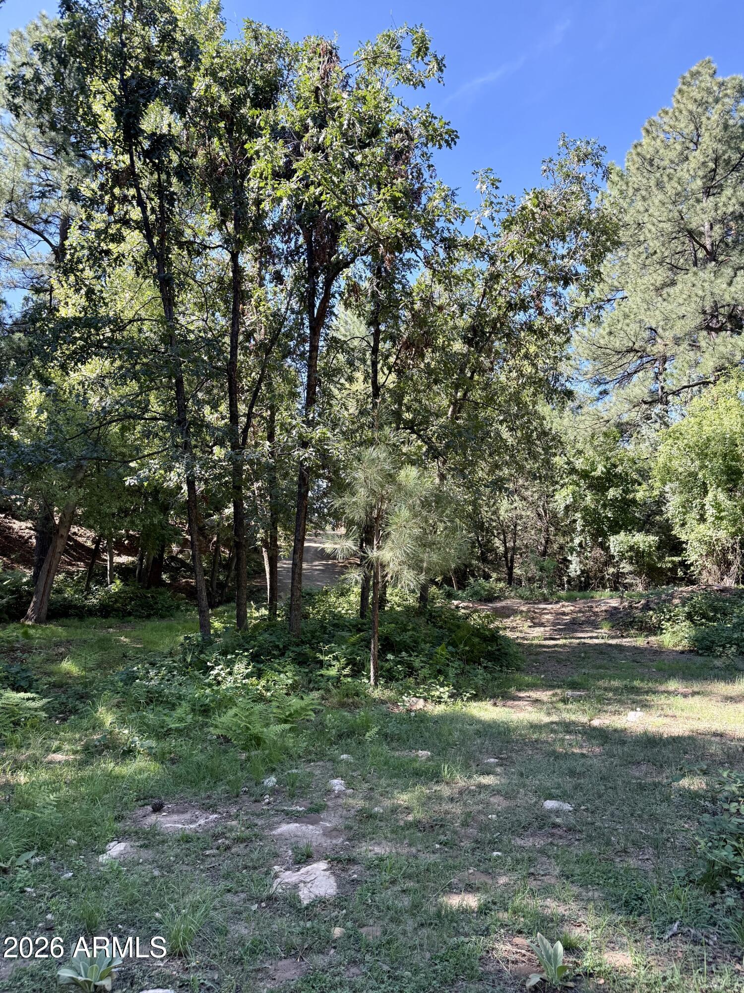 165 Burnt Point Trail, Unit 1 Payson, AZ 85541 - Photo 3 of 14 IMG_0965