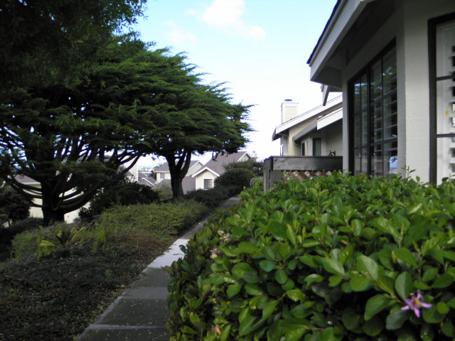 1031 Olympic Lane Seaside, CA 93955 - Photo 18 of 18 a view of a house with a flower garden