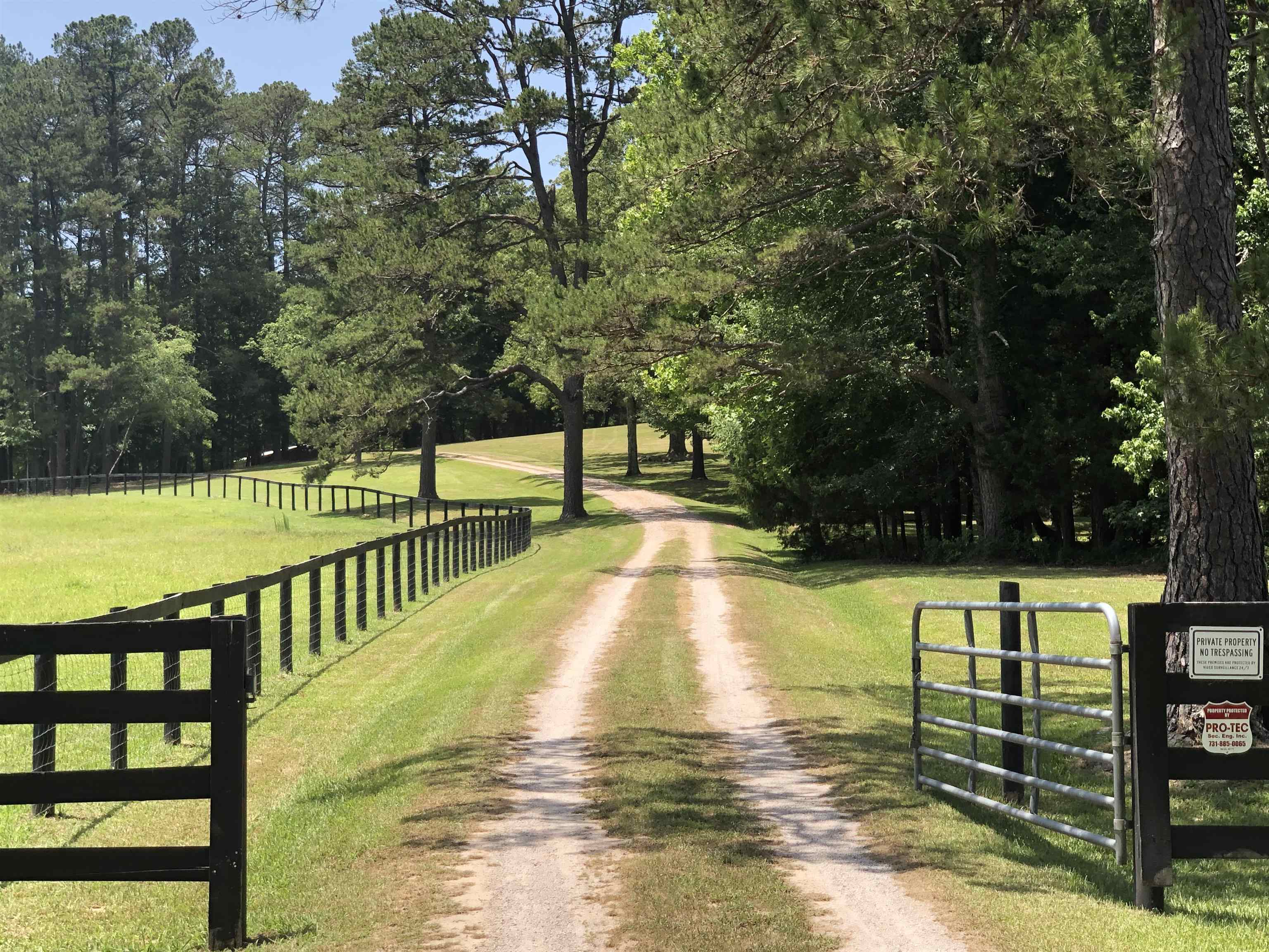 550 Maxwell Road Bolivar, TN 38008 - Photo 18 of 25 Gallery Image 18