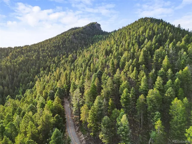 a view of a yard with tree s