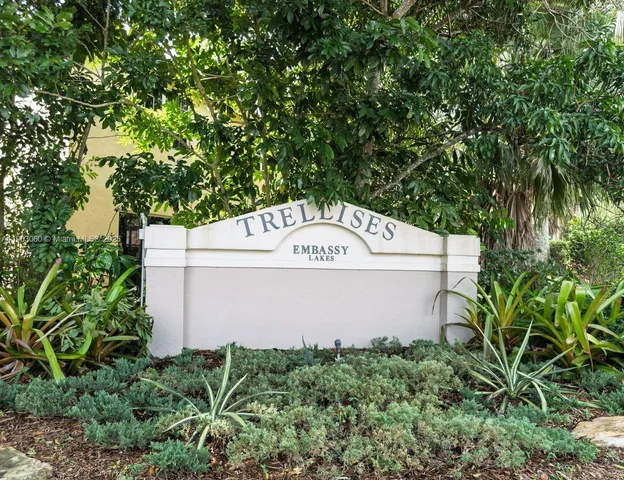 a view of a water fountain and palm trees