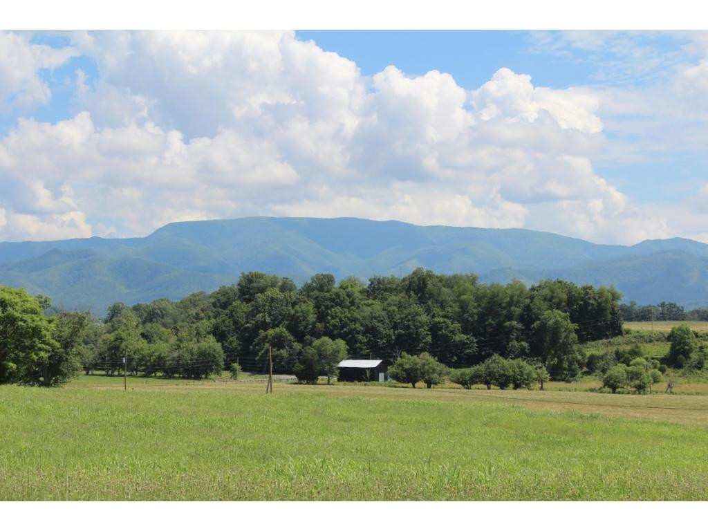 0 Old Jonesboro Road Chuckey, TN 37641 - Photo 1 of 26 Photo 1