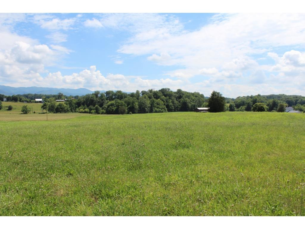 0 Old Jonesboro Road Chuckey, TN 37641 - Photo 14 of 26 Photo 14