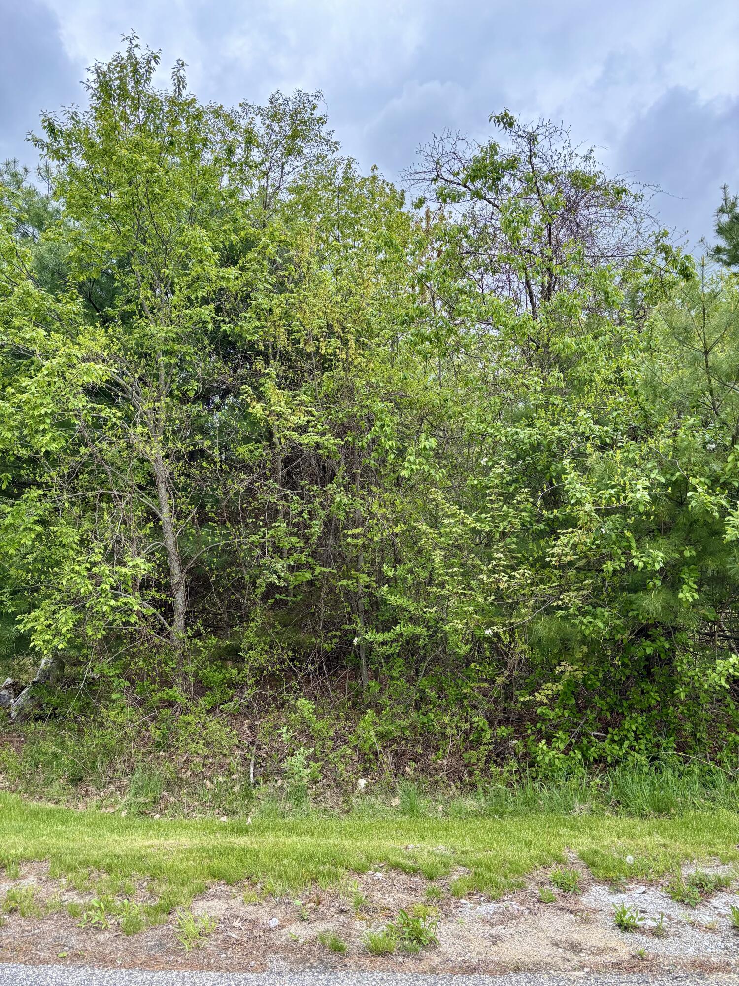 8 Digital Drive Biddeford, ME 04005 - Photo 6 of 7 At Curve