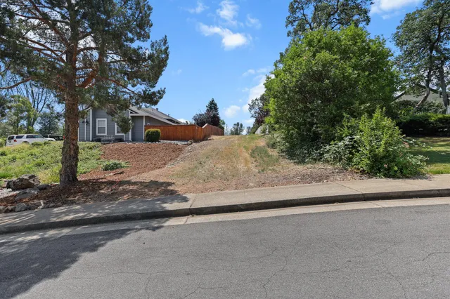 a view of a house with a small yard and large tree