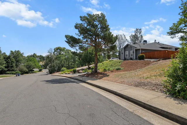 a view of a road with a yard and large trees
