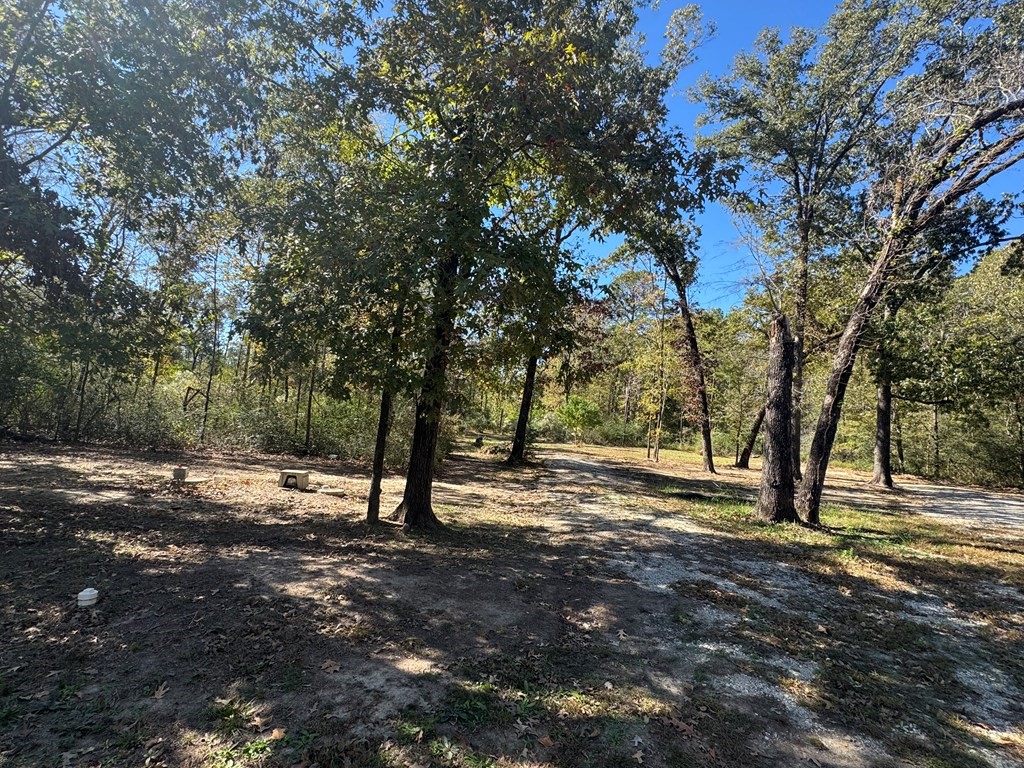 690 Jim Fenley Loop Lufkin, TX 75901 - Photo 12 of 22 a view of outdoor space with trees