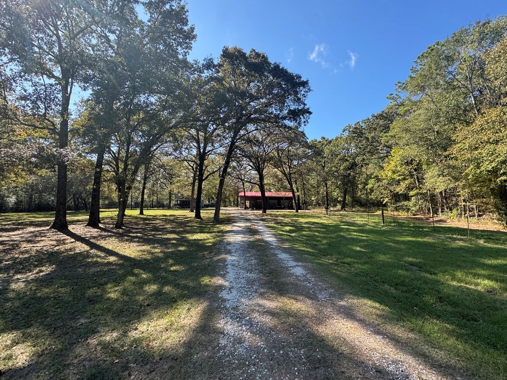 690 Jim Fenley Loop Lufkin, TX 75901 - Photo 19 of 22 a view of road with trees