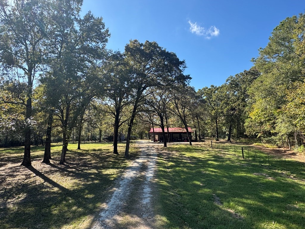 690 Jim Fenley Loop Lufkin, TX 75901 - Photo 20 of 22 a big yard with trees and outdoor seating