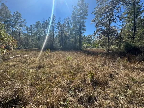 $725,000 | 690 Jim Fenley Loop, Lufkin, TX 75901