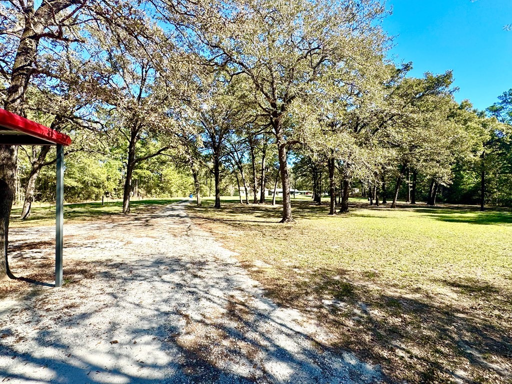 690 Jim Fenley Loop Lufkin, TX 75901 - Photo 9 of 22 a view of yard with green space