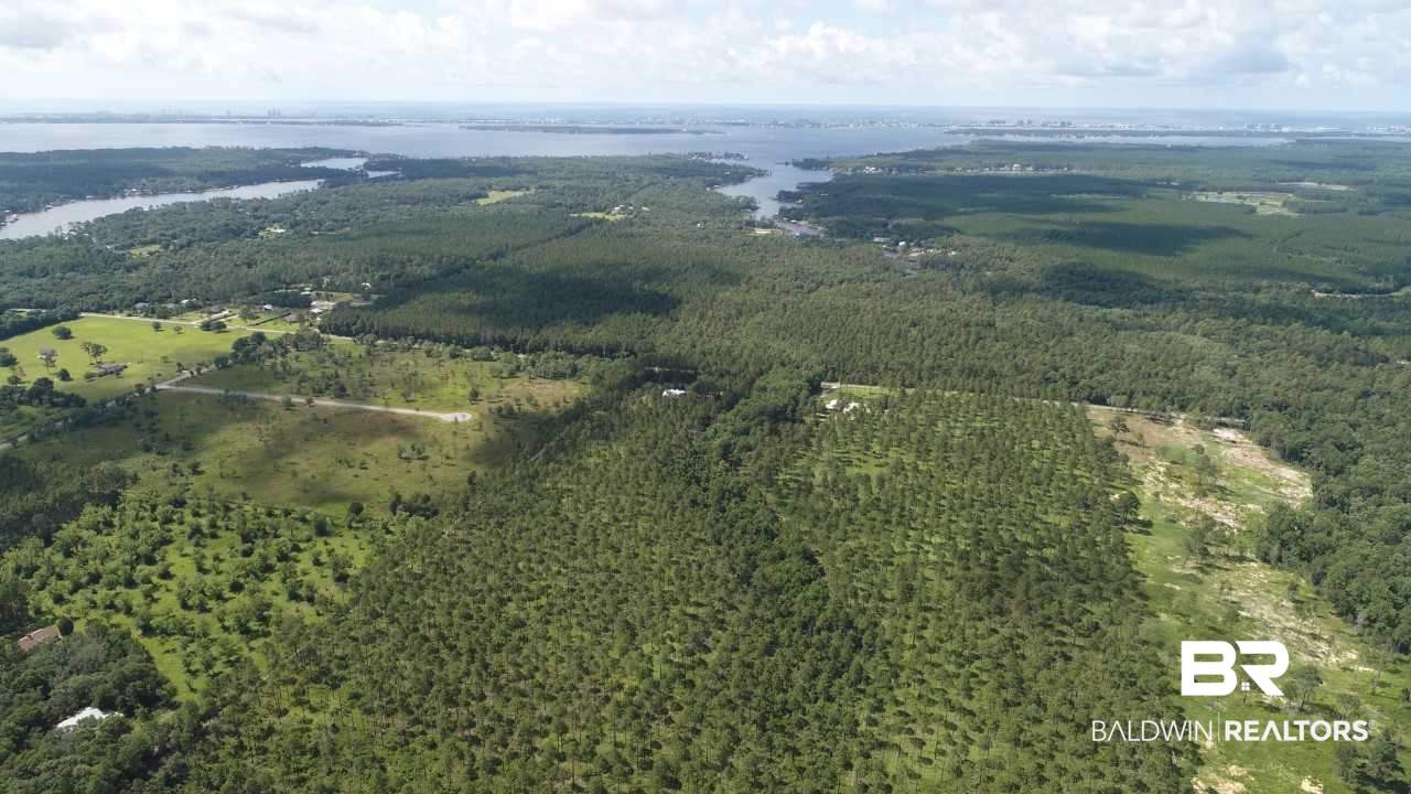 0 Leiterman Road Elberta, AL 36530 - Photo 6 of 13
