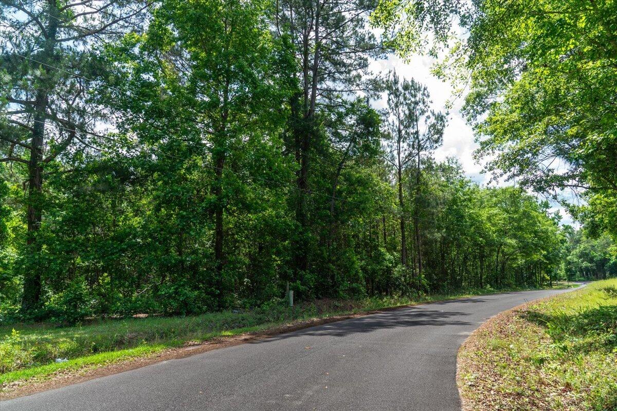 0 Deneaux Road Rowesville, SC 29133 - Photo 10 of 43 09-Deneaux-9