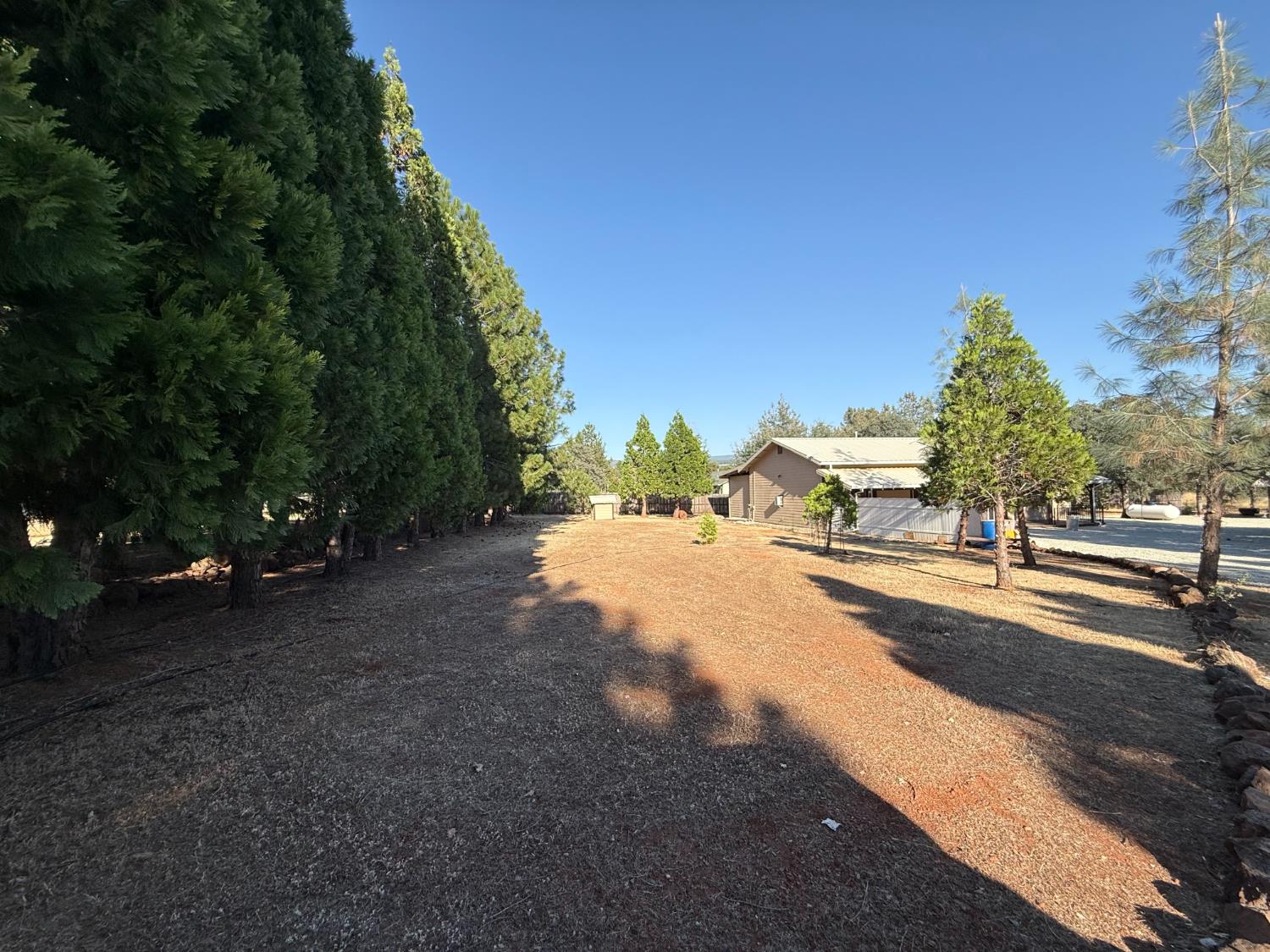 5000 Wilson Hill Road Manton, CA 96059 - Photo 33 of 63