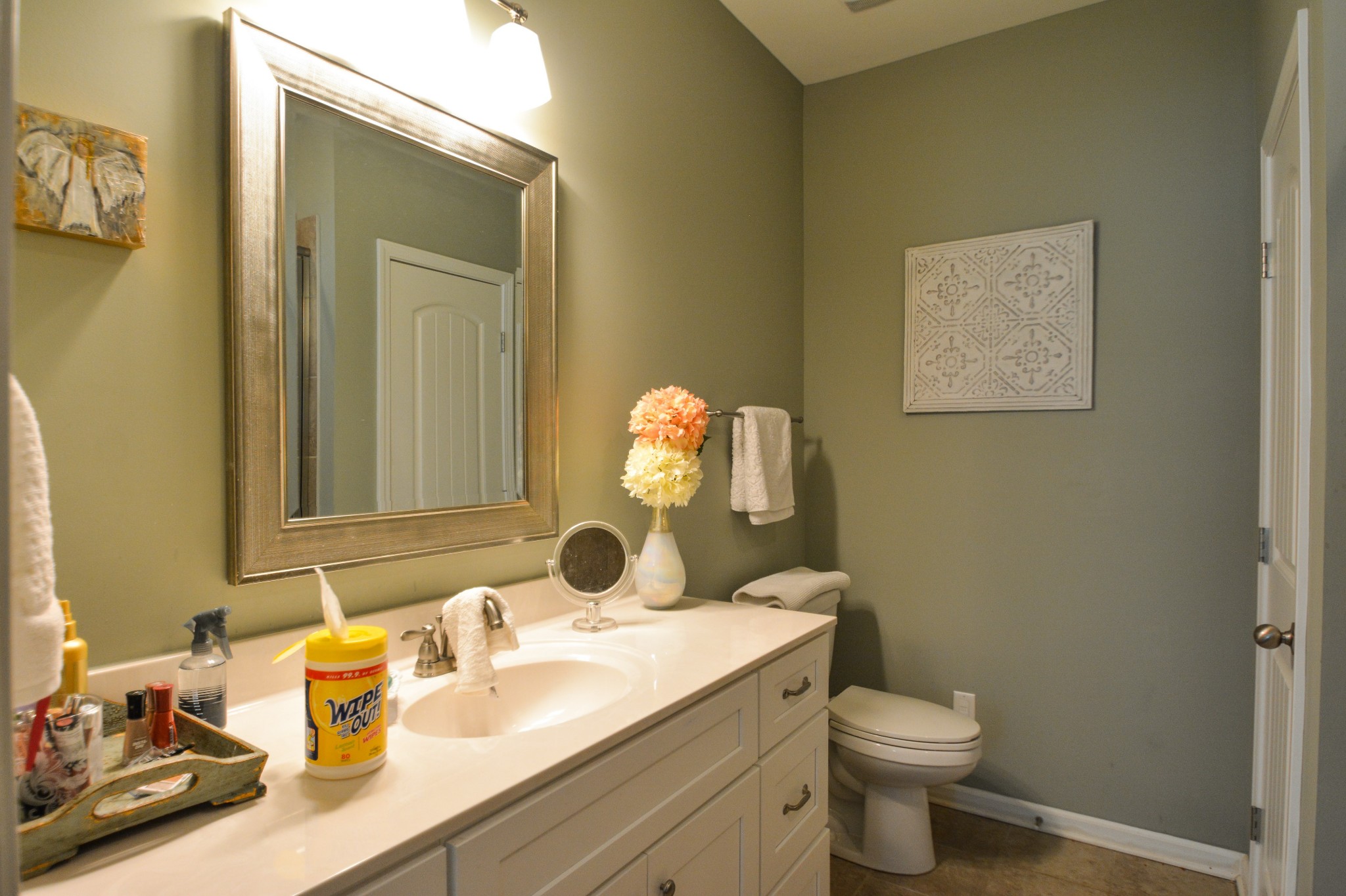 2293 Cason Lane Murfreesboro, TN 37128 - Photo 18 of 32 a bathroom with a sink vanity mirror and toilet