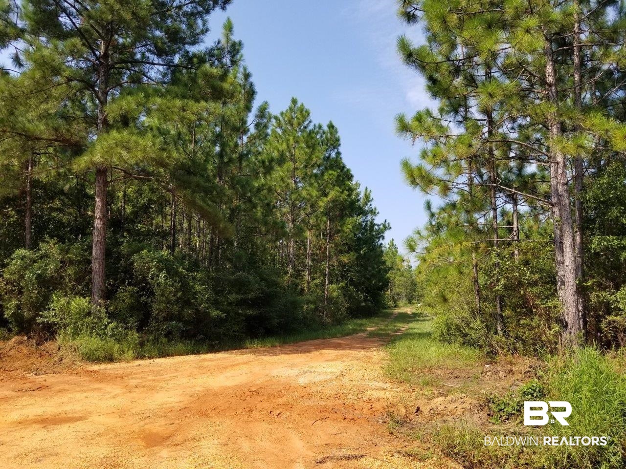 0 Jerkins Loop Atmore, AL 36502 - Photo 26 of 50