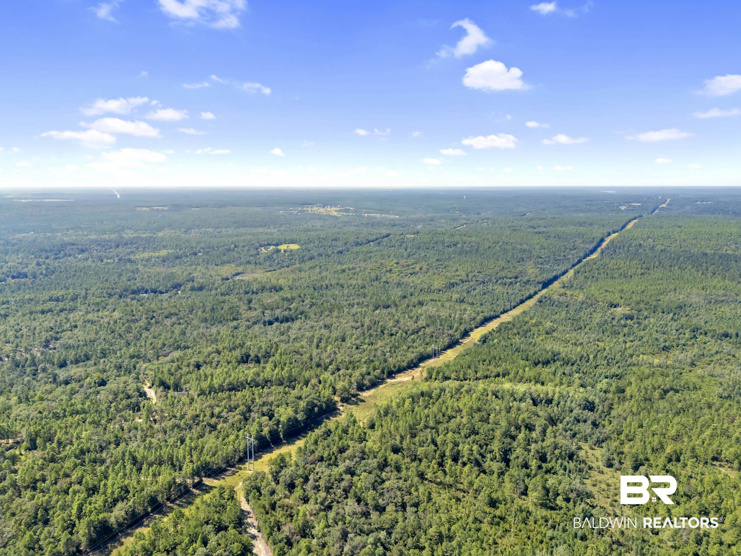 0 Arden Road Chunchula, AL 36521 - Photo 16 of 18 Bird's eye view of a heavily wooded area