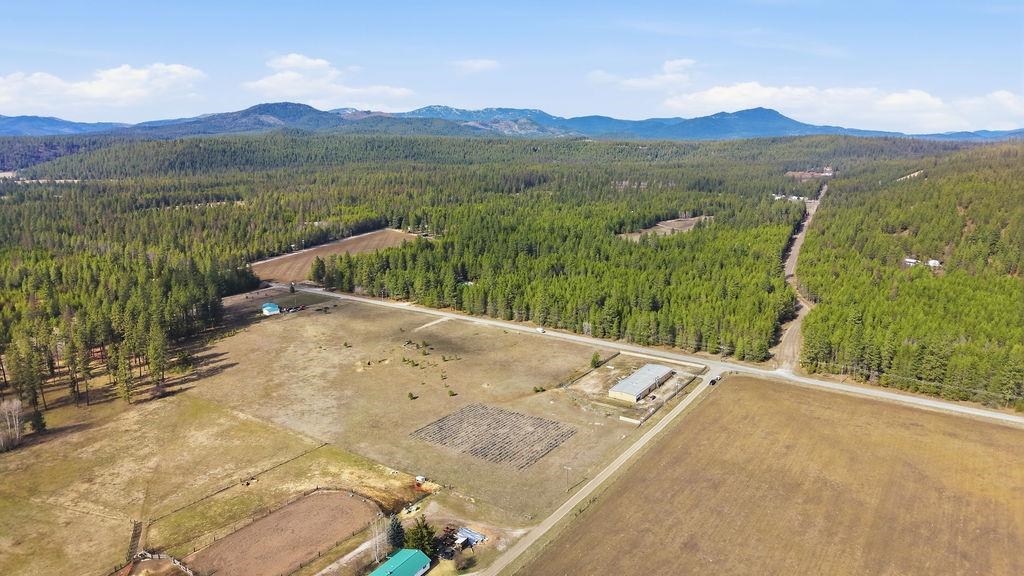 4341B Springdale Hunters Road Springdale, WA 99173 - Photo 5 of 14