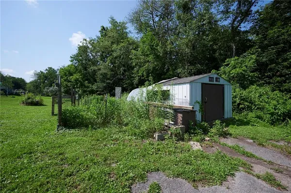 a view of backyard with potted plants and a large tree