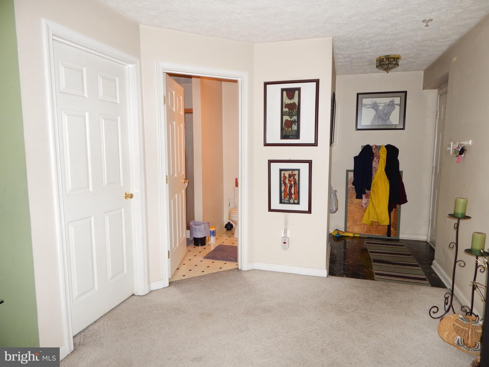 4553 Aspen Mill Road, Unit 4553 Baltimore, MD 21236 - Photo 13 of 31 Foyer with Bath door open