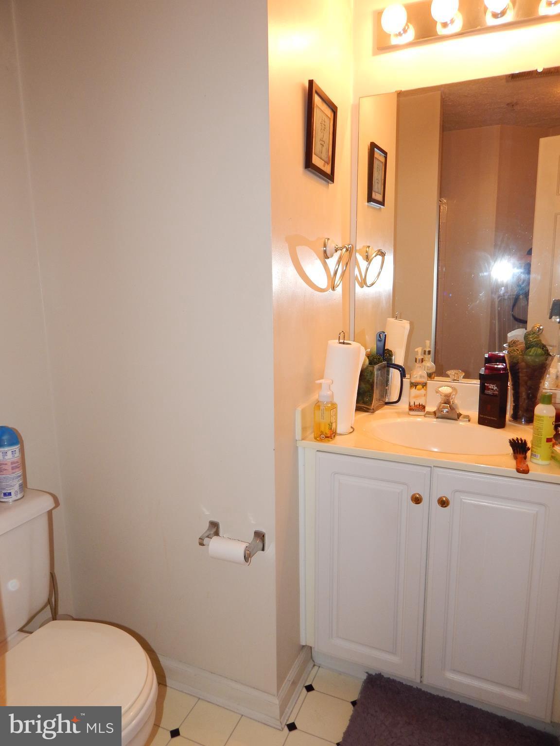 4553 Aspen Mill Road, Unit 4553 Baltimore, MD 21236 - Photo 29 of 31 Bath